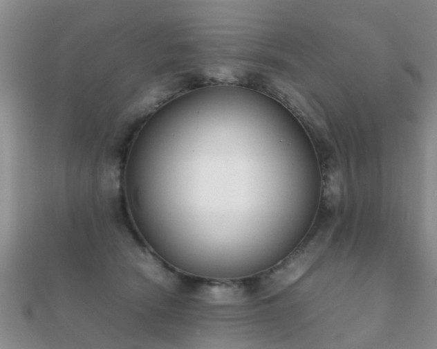 X0000112070466200908111437