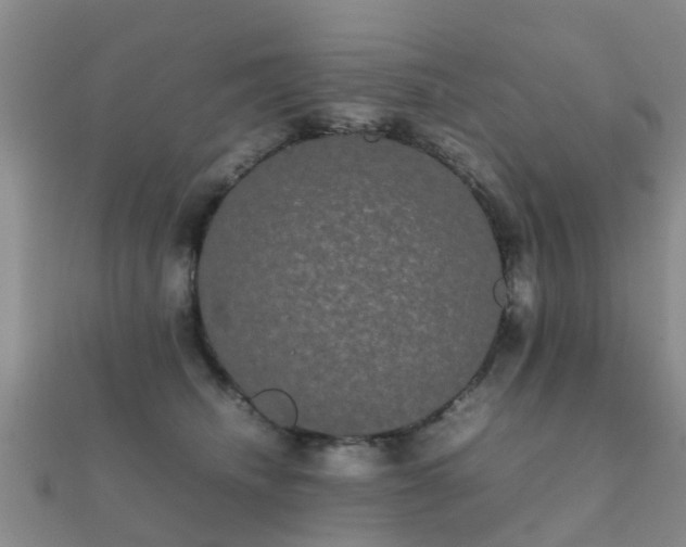 X0000112070468200908111437