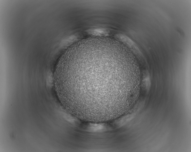 X0000112070469200908111437