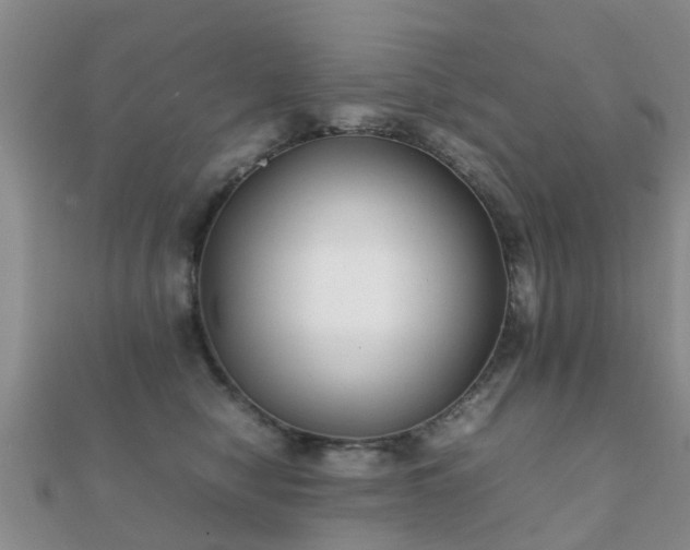 X0000112070470200908111437