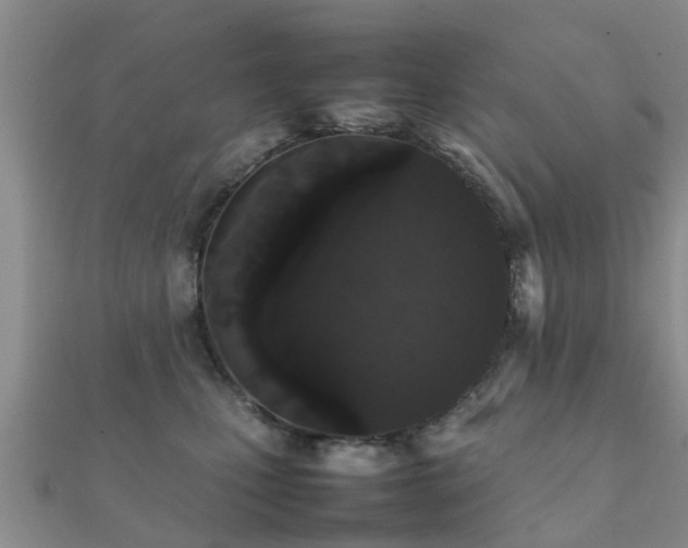 X0000112070471200908111437