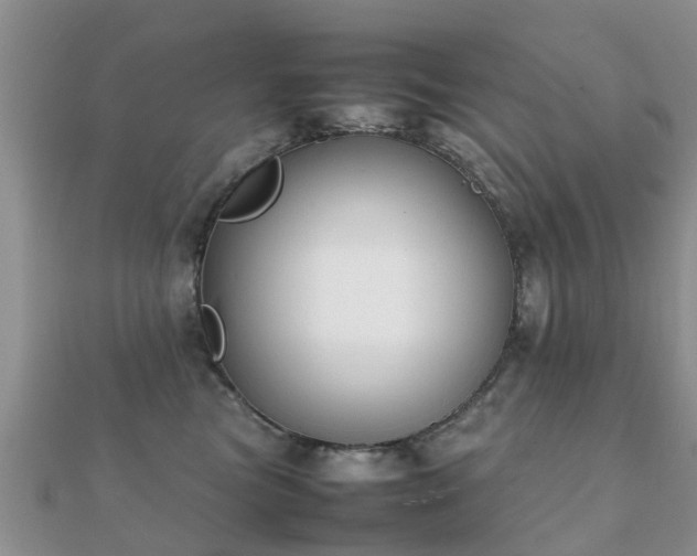 X0000112070473200908111437