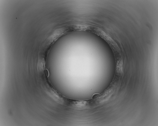 X0000112070474200908111437