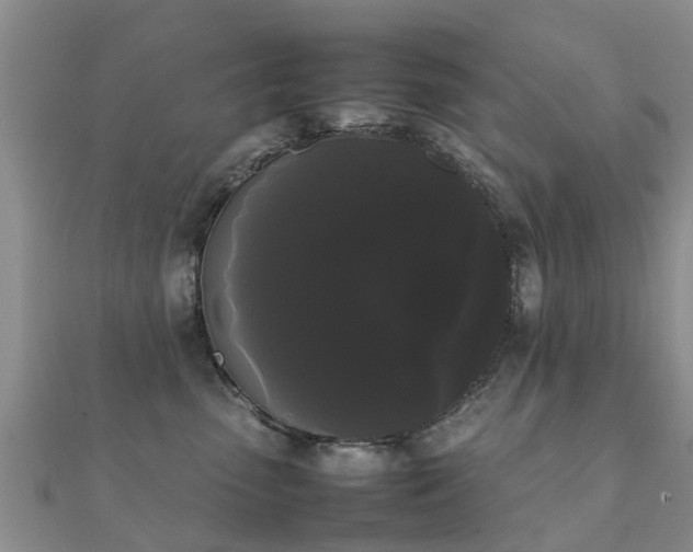 X0000112070475200908111437