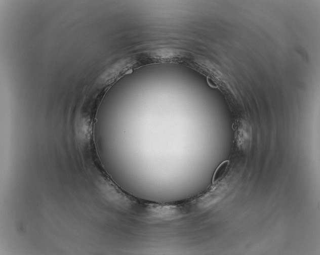 X0000112070476200908111437