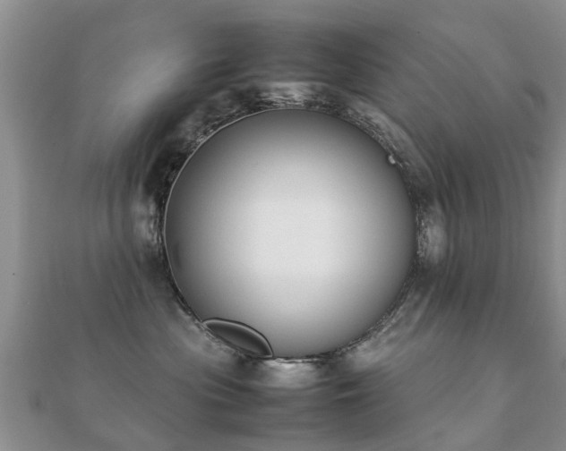 X0000112070477200908111437