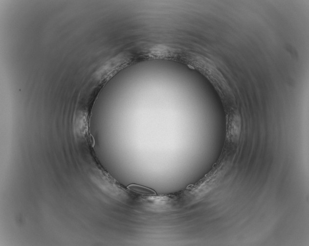 X0000112070478200908111437