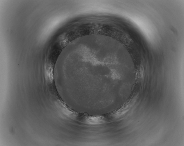 X0000112070479200908111437