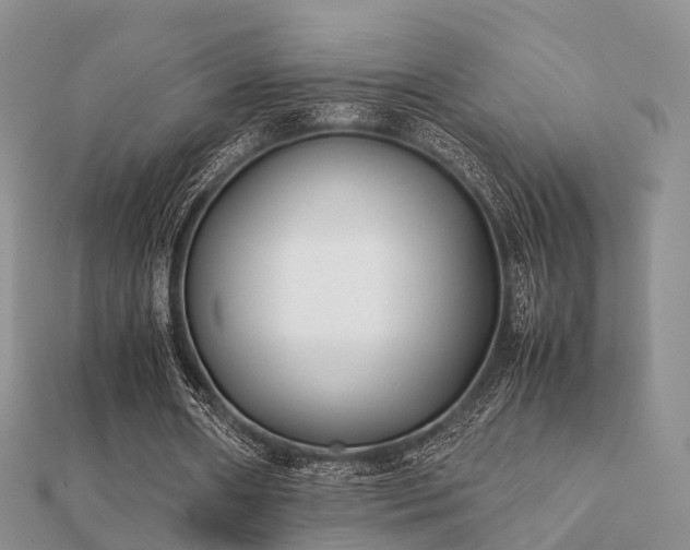 X0000112070482200908111436