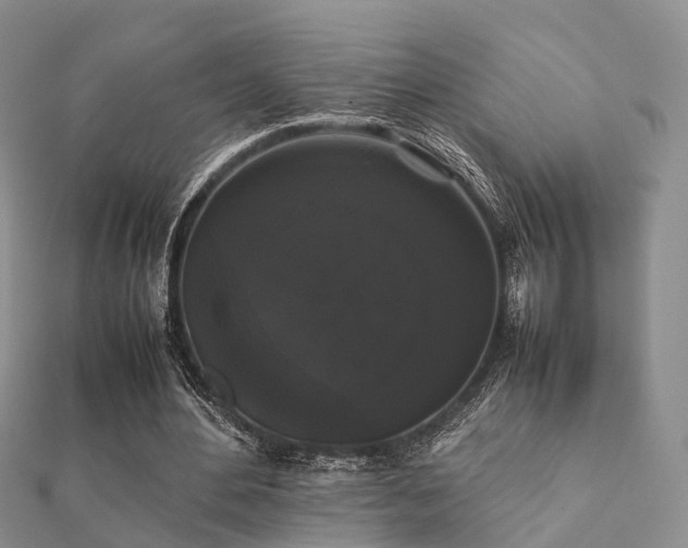 X0000112070484200908111436