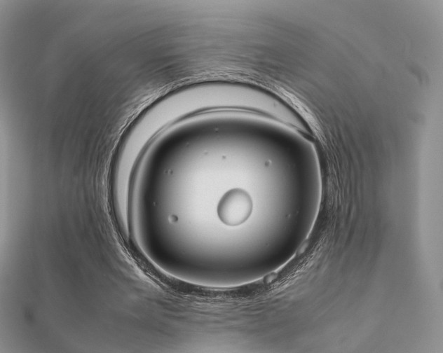 X0000112070485200908111436