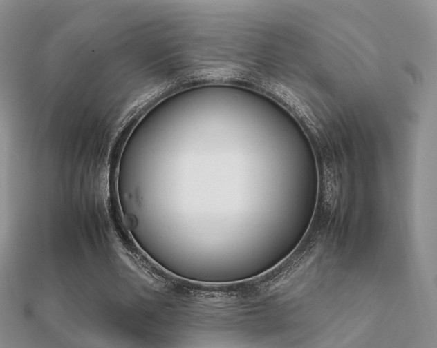 X0000112070486200908111436