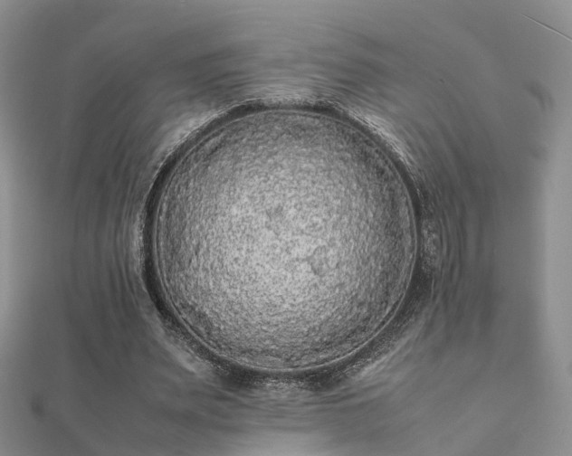 X0000112070487200908111436