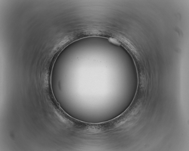 X0000112070489200908111436