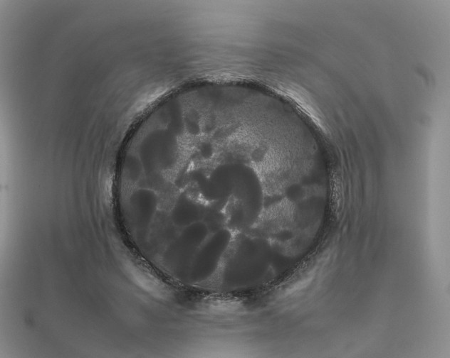 X0000112070491200908111436