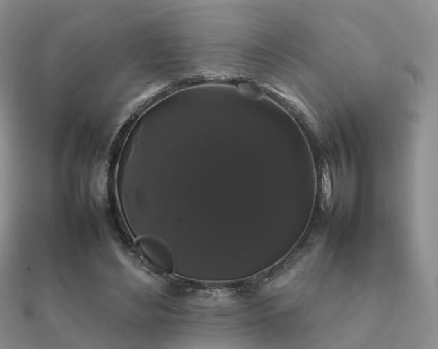 X0000112070492200908111436