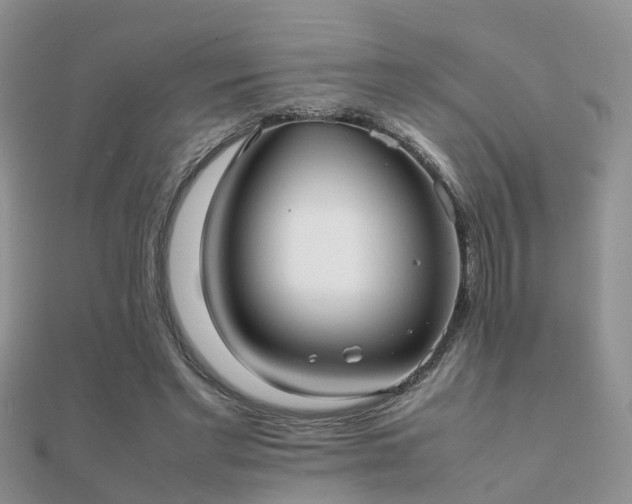 X0000112070493200908111436