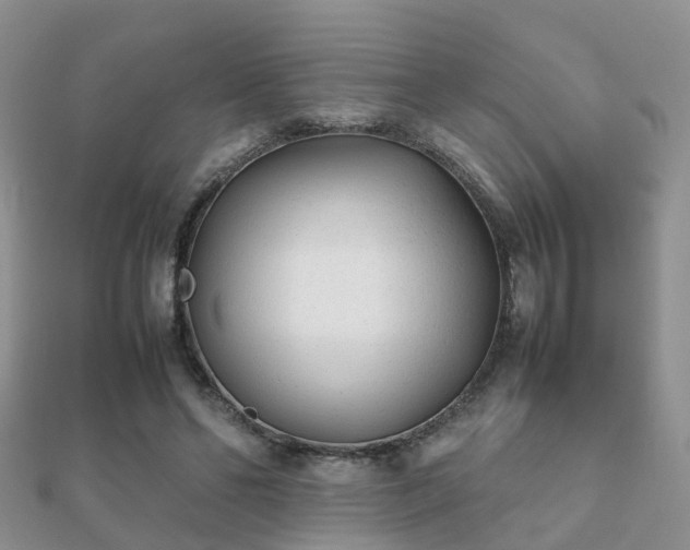 X0000112070494200908111436