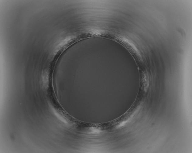 X0000112070496200908111436