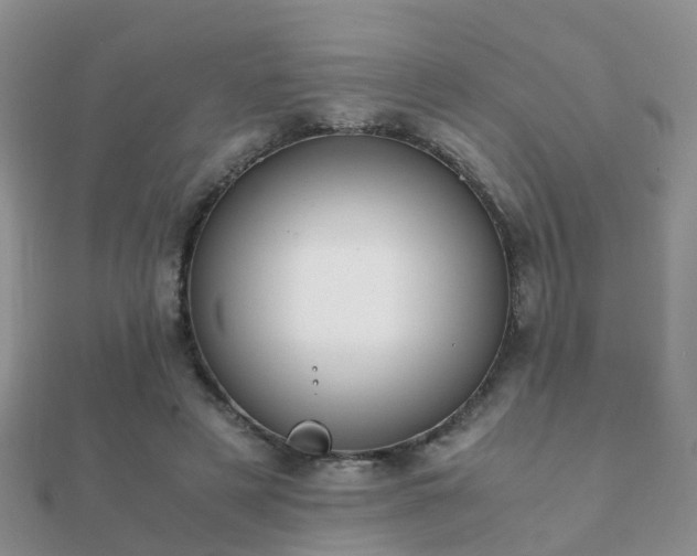 X0000112070497200908111436