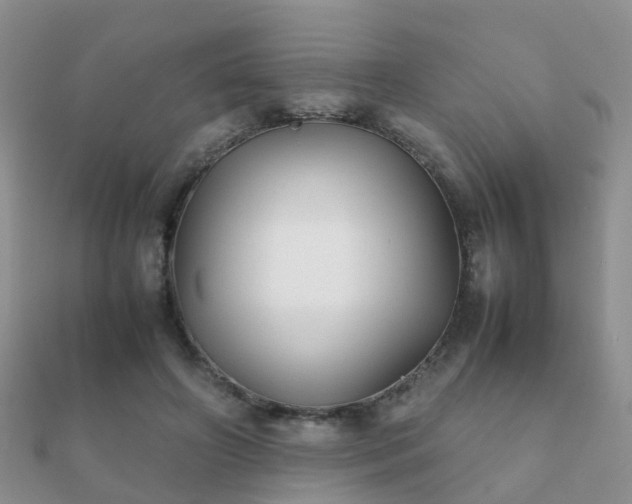 X0000112070498200908111436