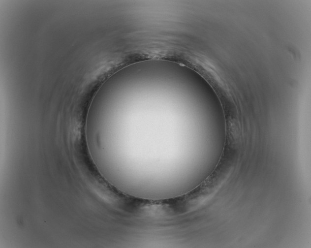 X0000112070499200908111436