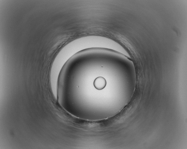 X0000112070501200908111436