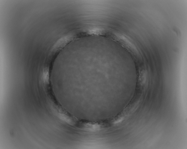 X0000112070502200908111436