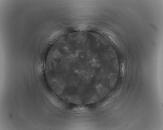 X0000112070503200908111436