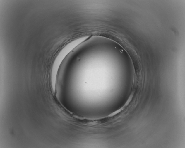 X0000112070505200908111436