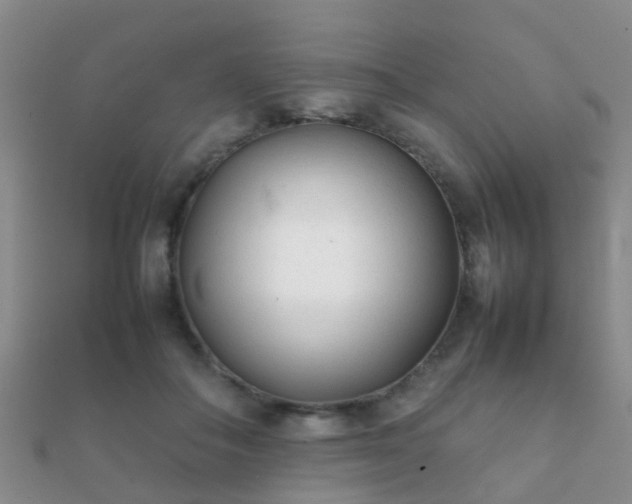 X0000112070506200908111436