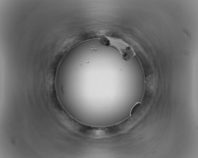 X0000112070509200908111436