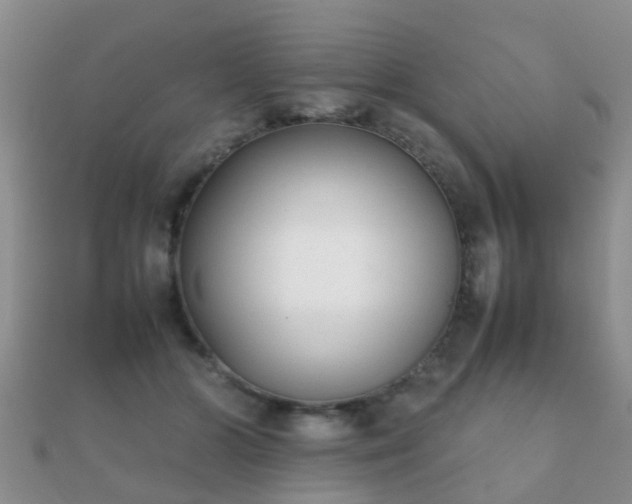 X0000112070510200908111436