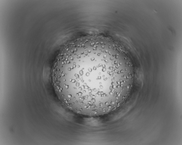 X0000112070511200908111436
