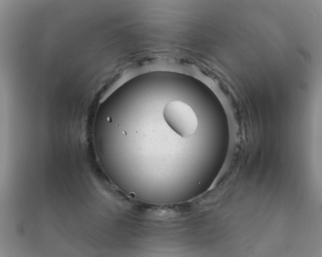 X0000112070512200908111436