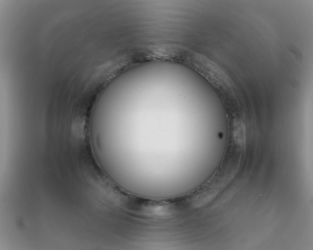 X0000112070514200908111436