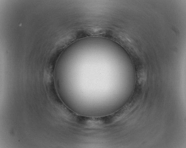 X0000112070515200908111436