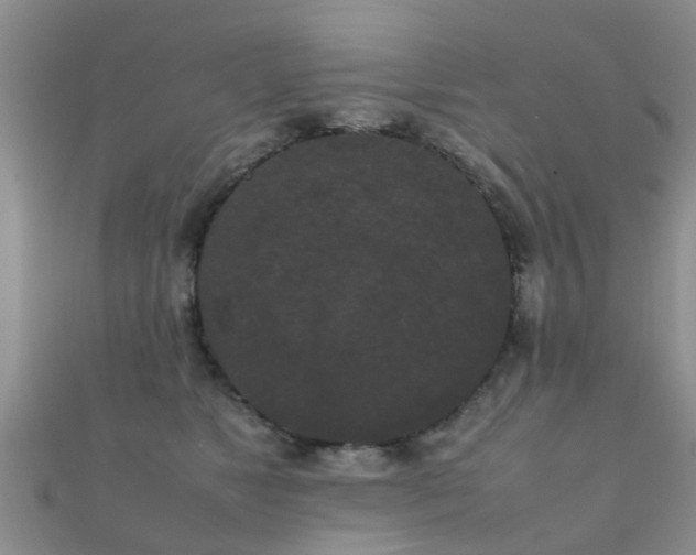 X0000112070517200908111436