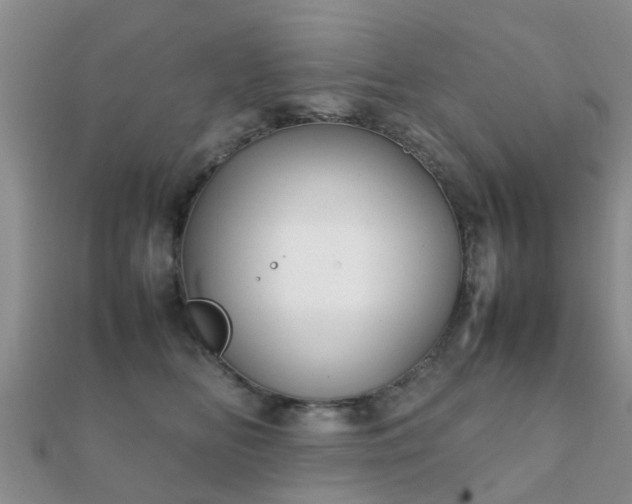 X0000112070518200908111436