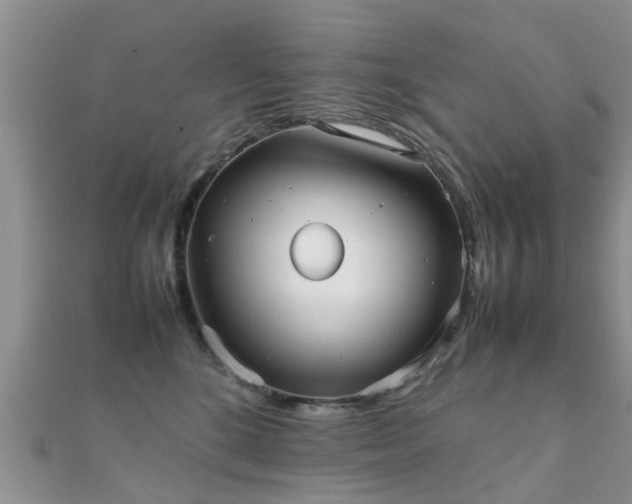 X0000112070520200908111436