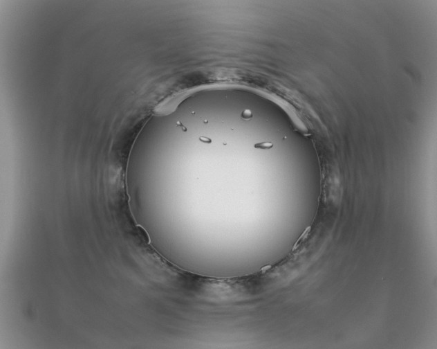 X0000112070521200908111436