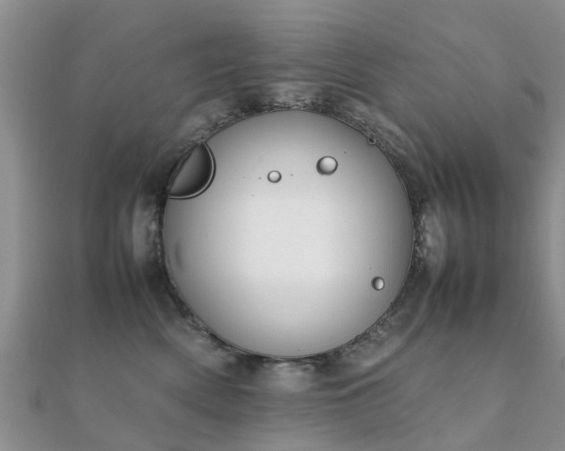 X0000112070522200908111436