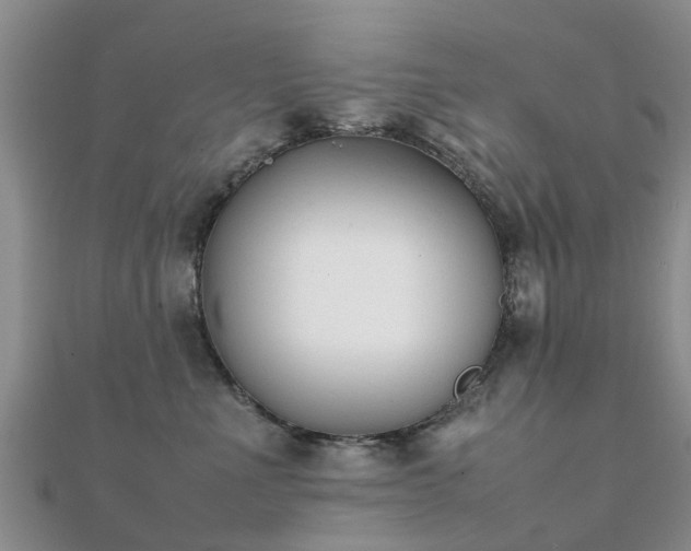 X0000112070523200908111435