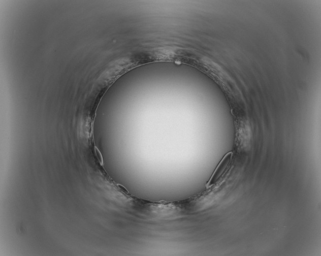 X0000112070525200908111435