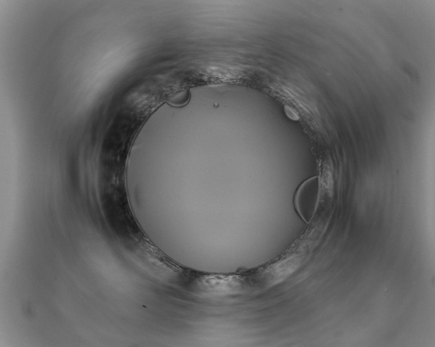 X0000112070526200908111435