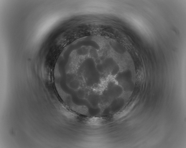 X0000112070527200908111435