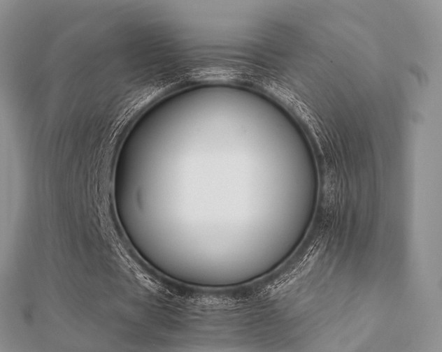 X0000112070529200908111435