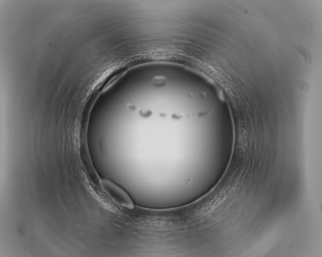 X0000112070530200908111435