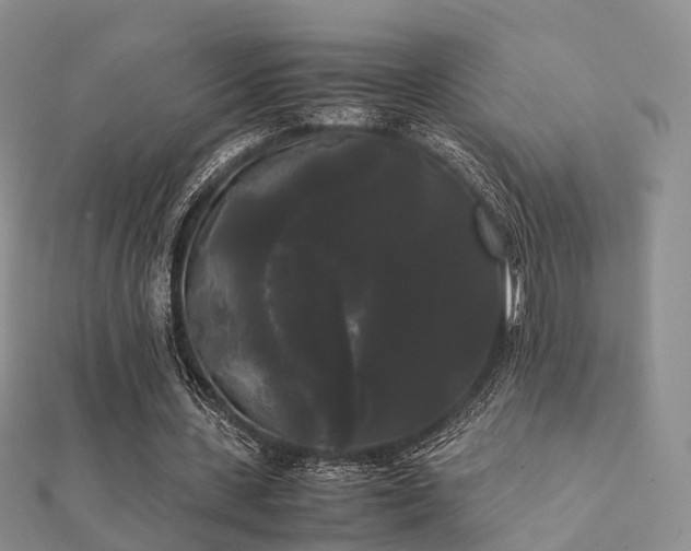 X0000112070531200908111435