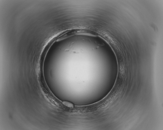 X0000112070532200908111435